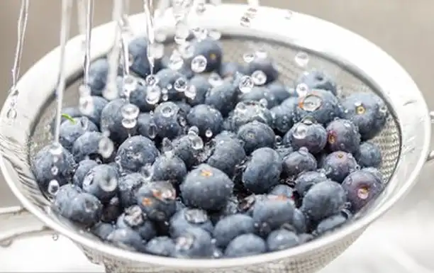 Wash Blueberries.webp